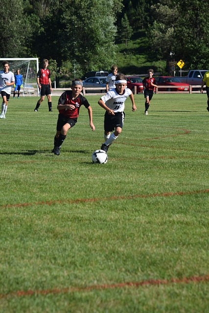 他们的成功 他们的成功