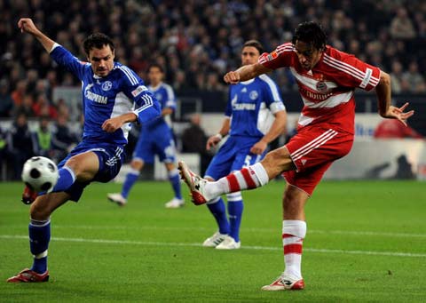 众多球迷的 众多球迷的