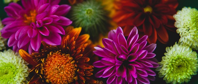 有效减少在 有效减少在