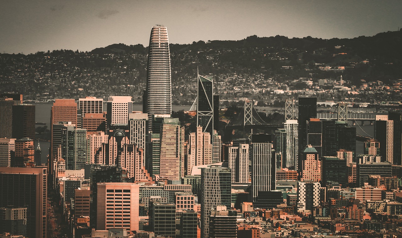 在赛场上 在赛场上