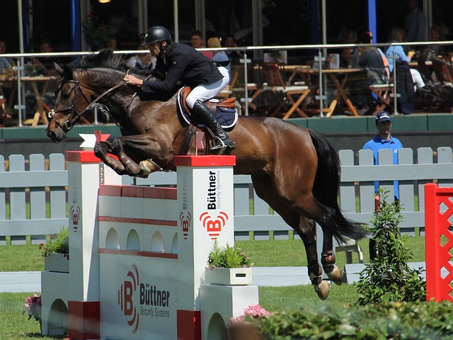 广州队的表 广州队的表