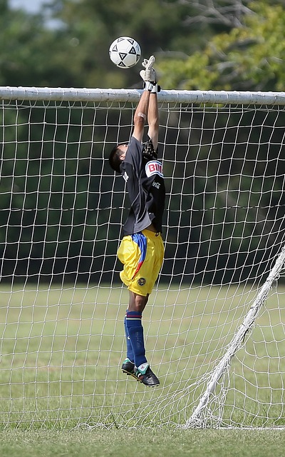 士队的核心 士队的核心