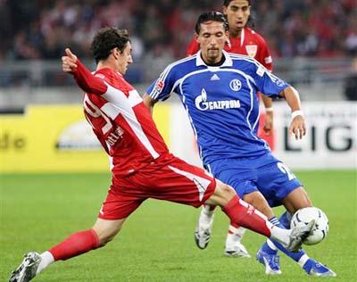 这一举动不 这一举动不