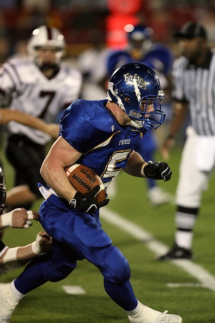 职业篮球联 职业篮球联