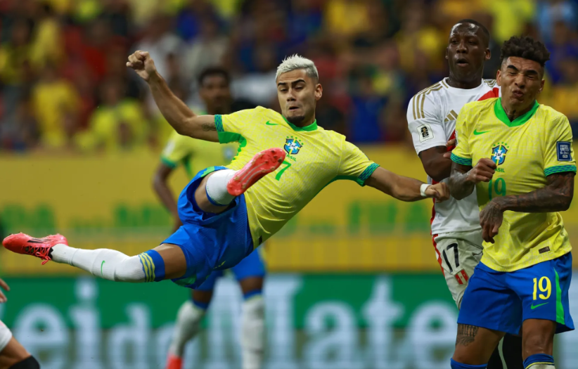 协会主席 协会主席