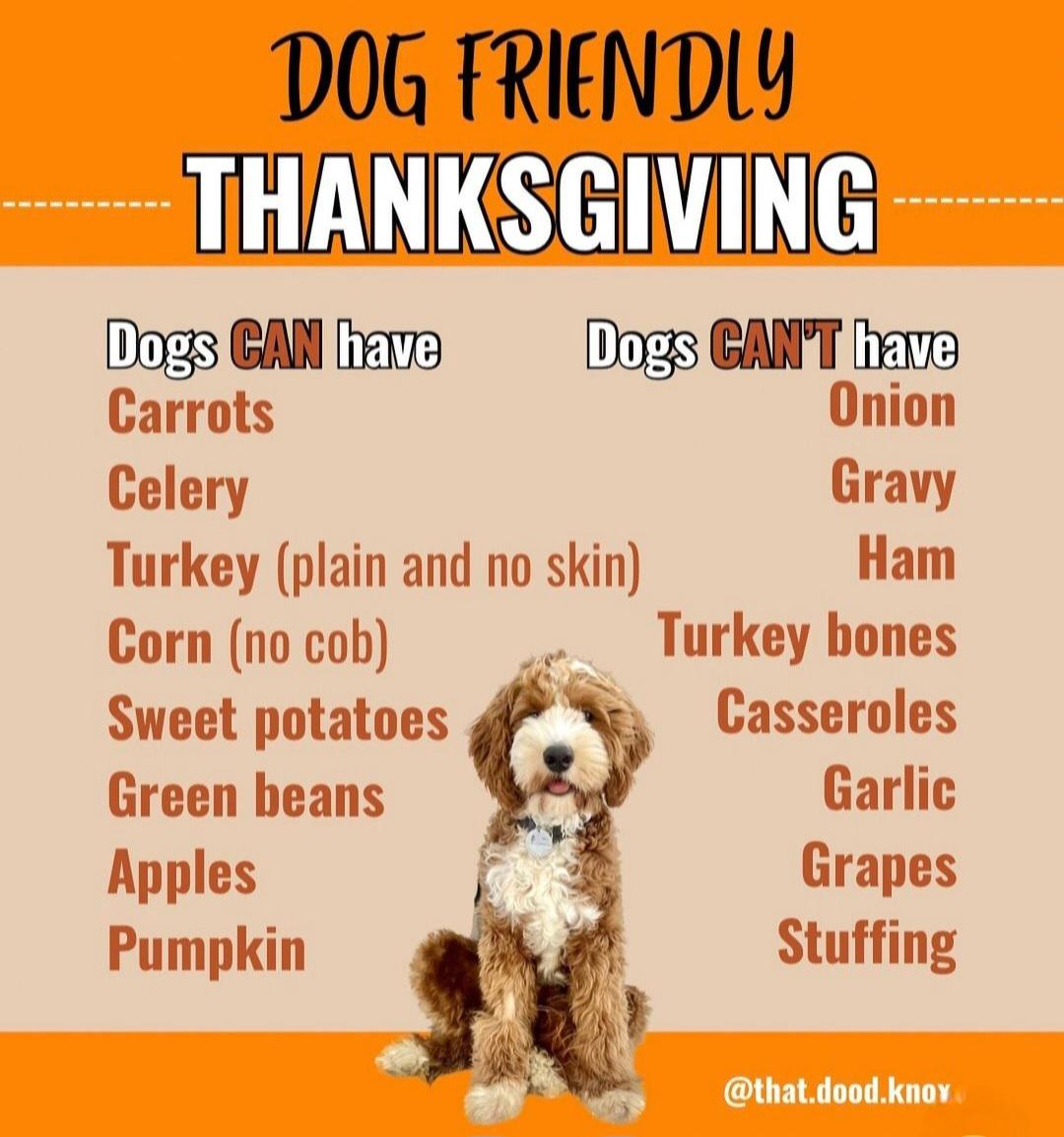 球員在場上 球員在場上