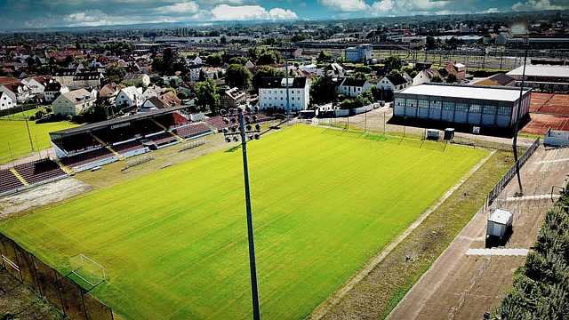 防守线中 防守线中