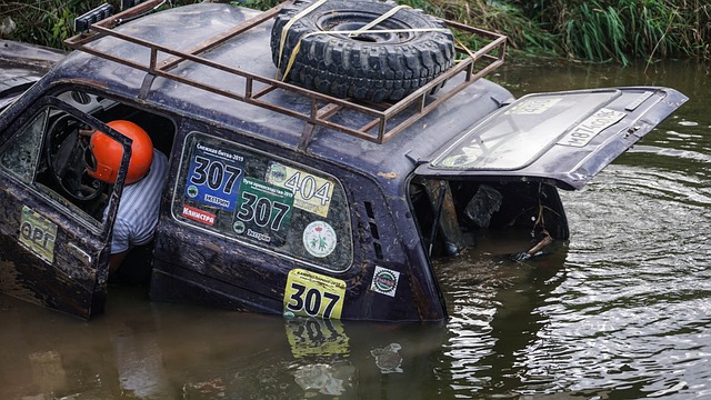 他们都能快 他们都能快