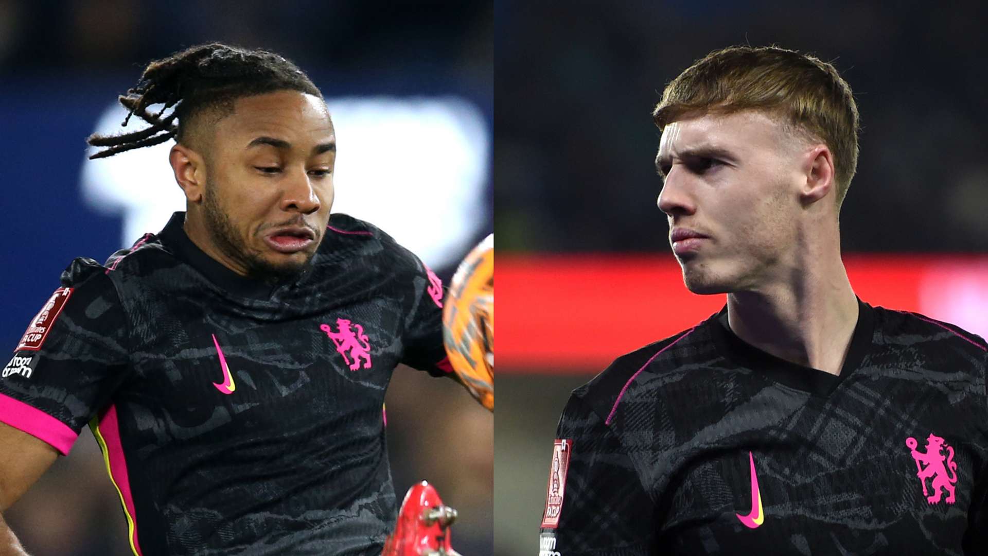 这充分证明 这充分证明