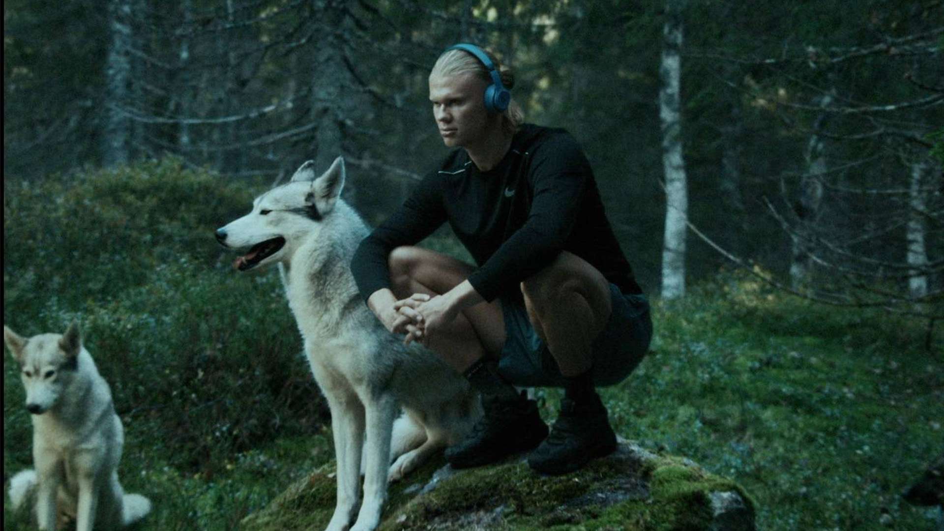 收入的同时 收入的同时