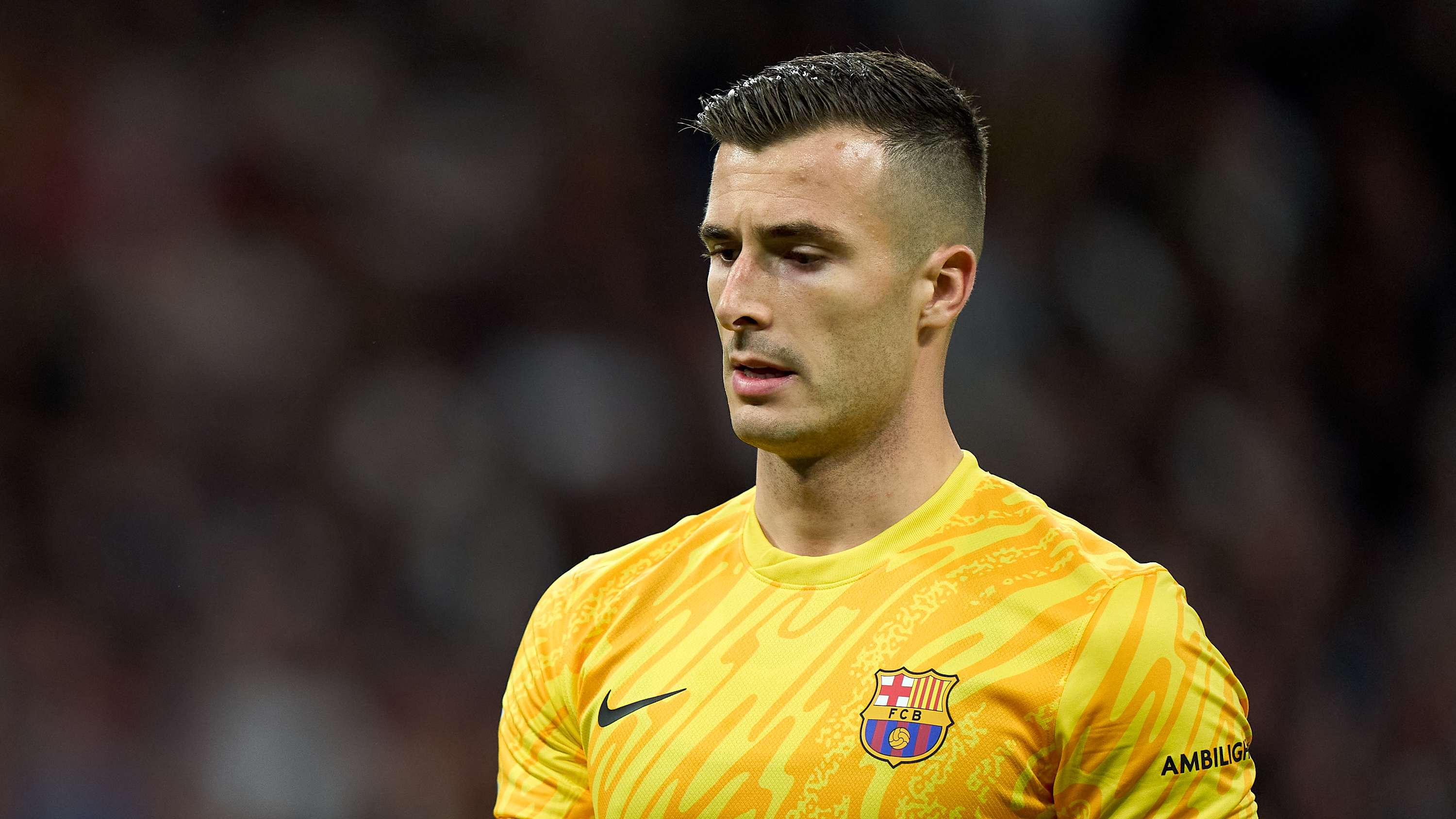 不仅提升了 不仅提升了