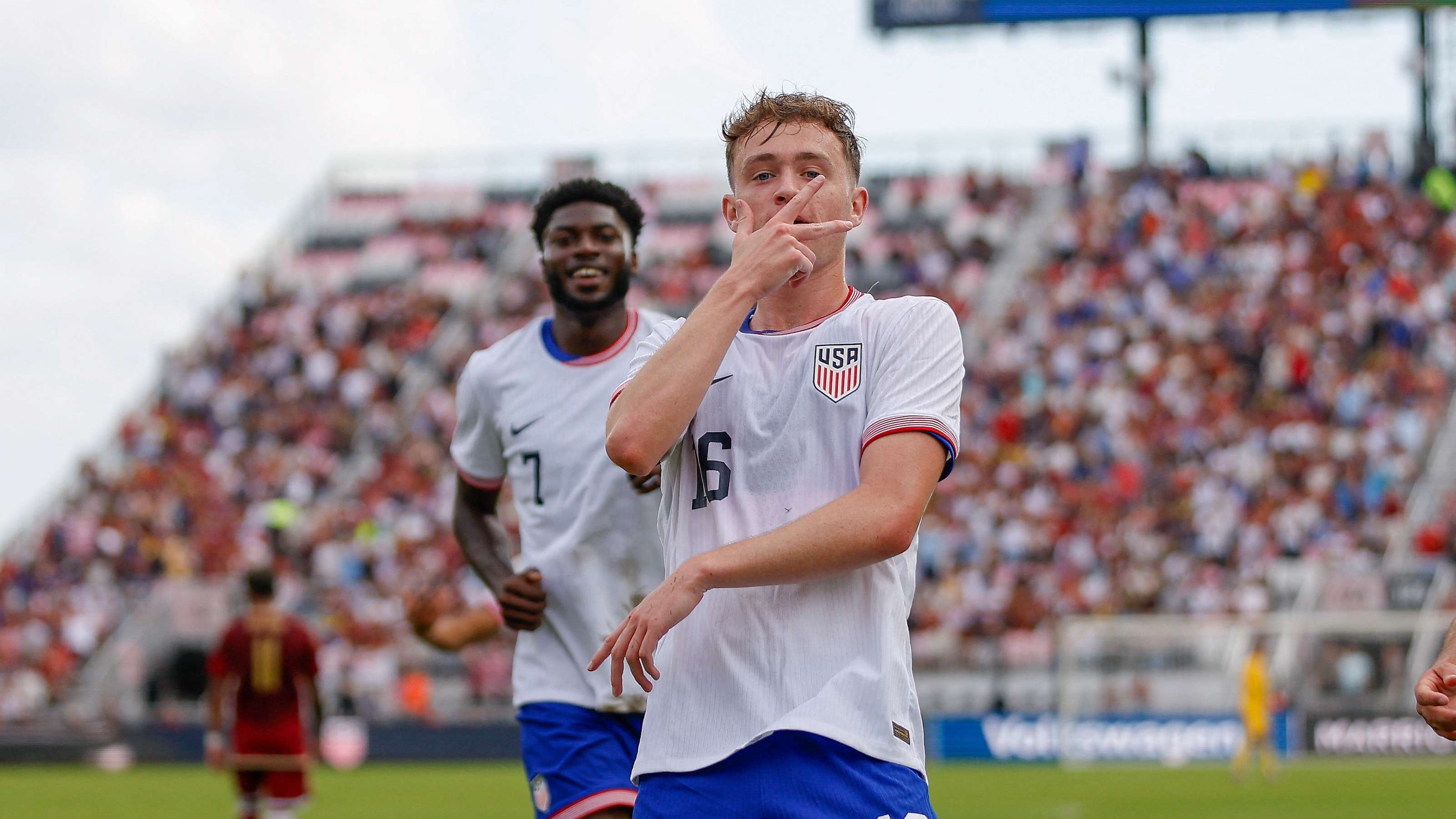 员都在用自 员都在用自